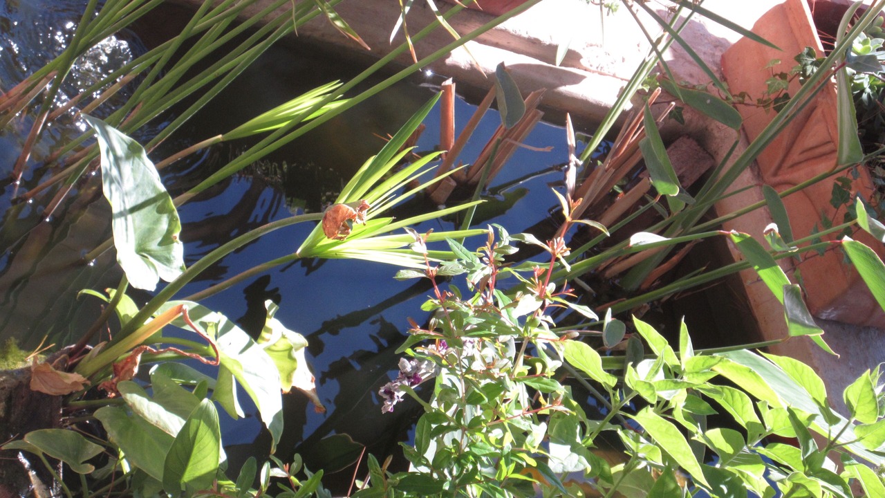 Photo of Outdoor in Le Rove
