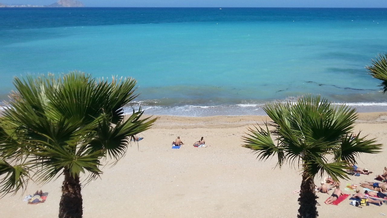 Photo of Others in El Albir