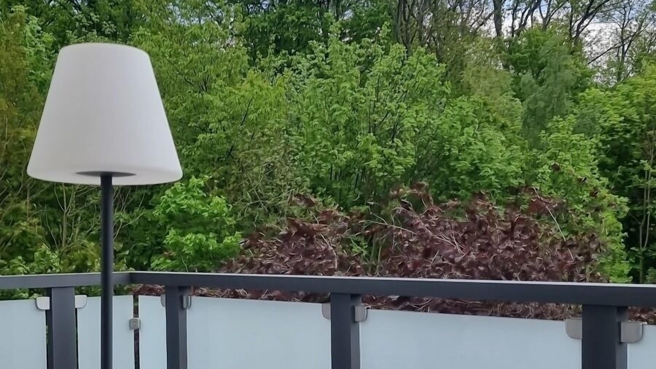 Photo of Outdoor in Goslar
