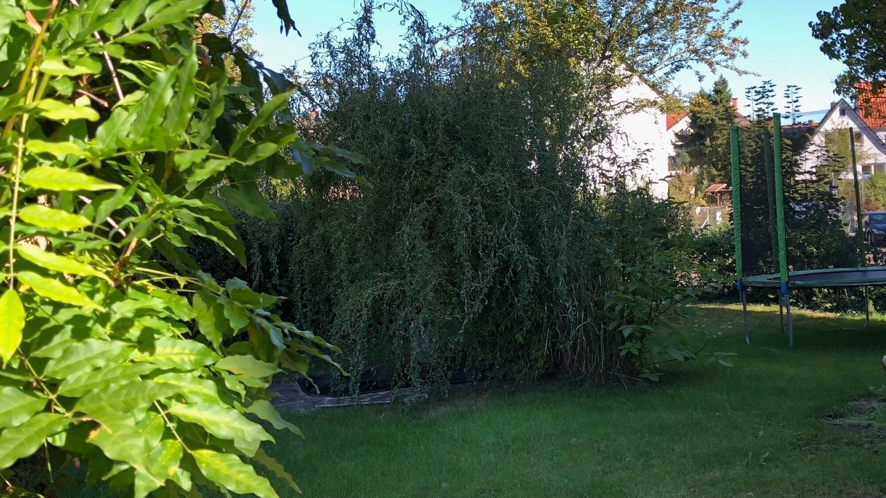 Photo of Outdoor in Harleshausen