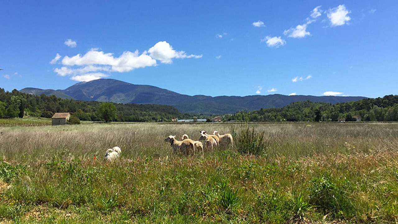 Photo of Outdoor in Crestet
