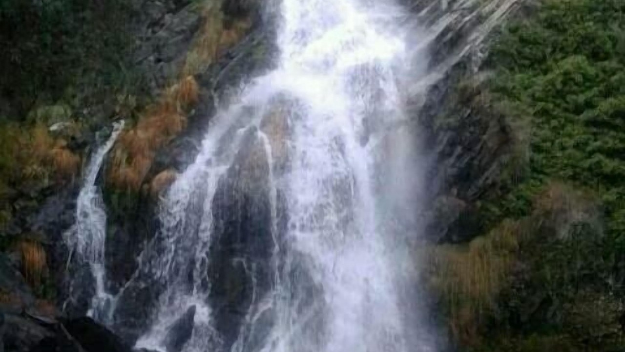 Photo of Others in Pinofranqueado