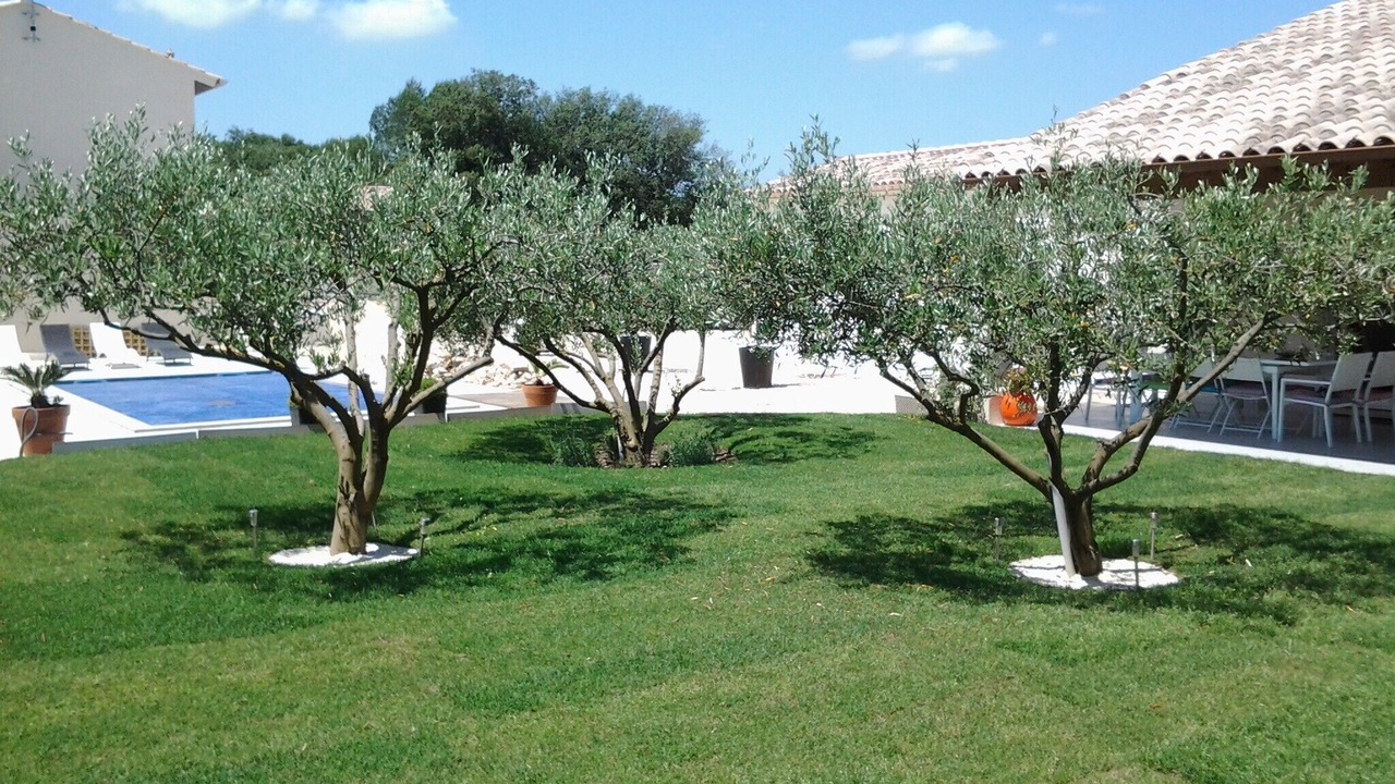 Photo of Outdoor in Garrigues
