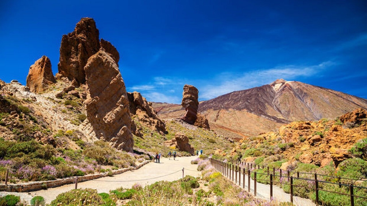 Photo of Outdoor in El Madronal