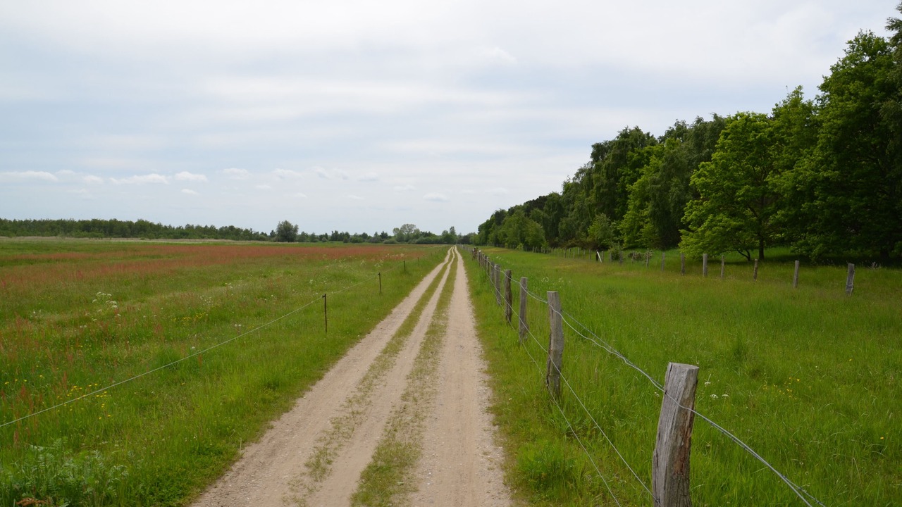 Photo of Outdoor in Dassow