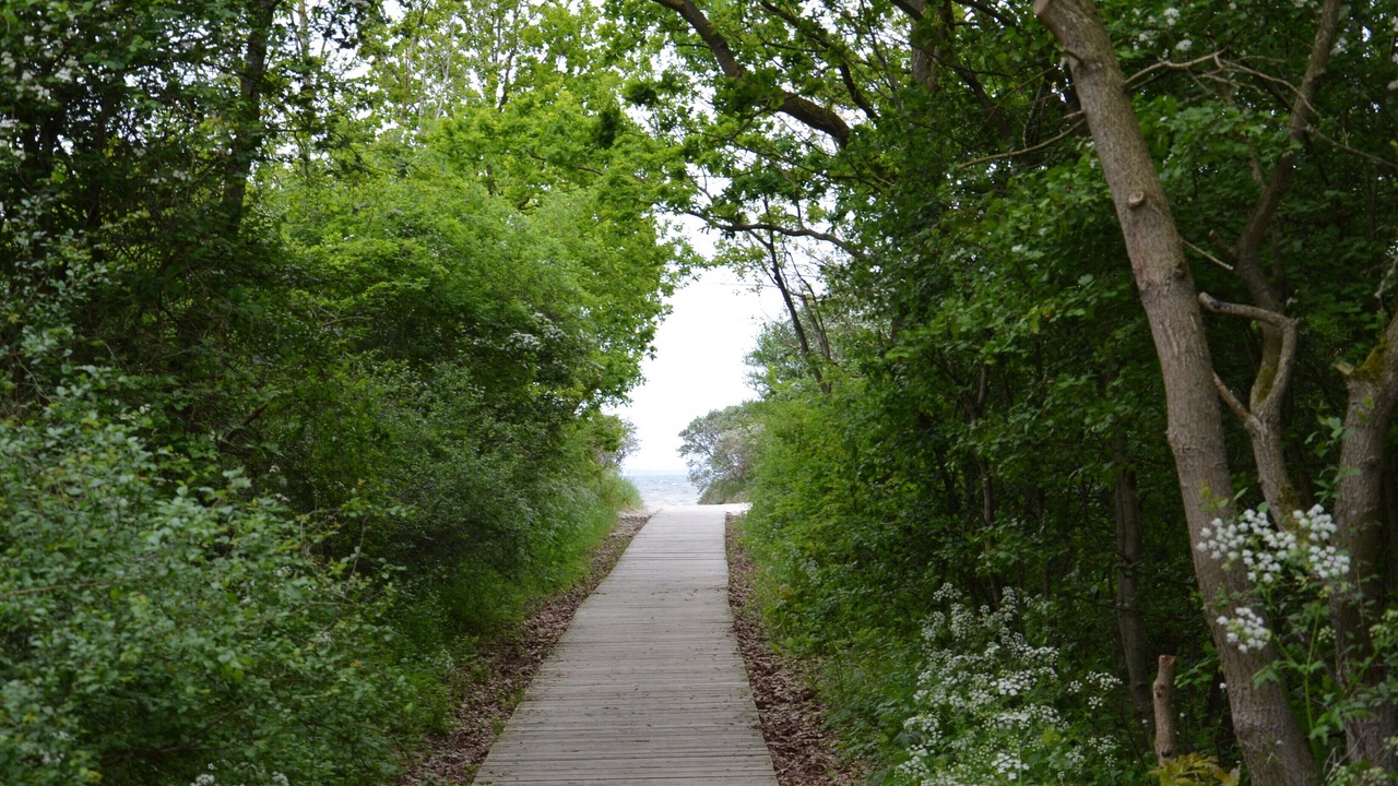 Photo of Outdoor in Dassow