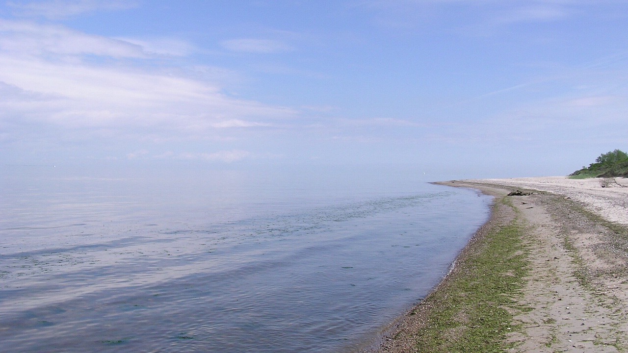 Photo of Others in Dassow