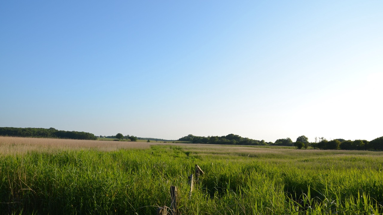 Photo of Outdoor in Dassow