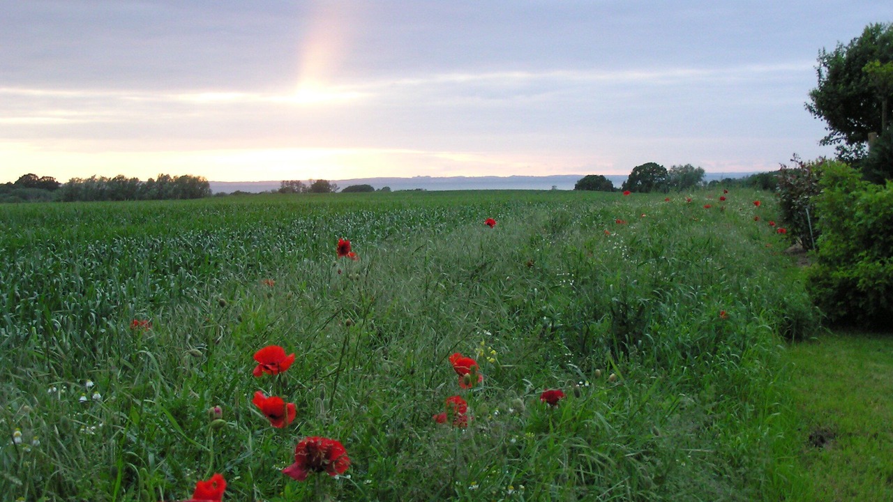 Photo of Outdoor in Dassow