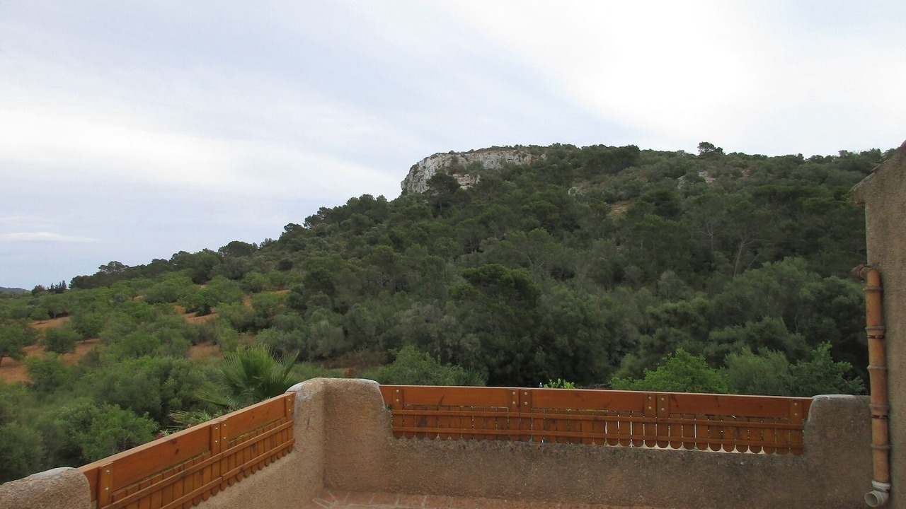 Photo of Outdoor in Felanitx