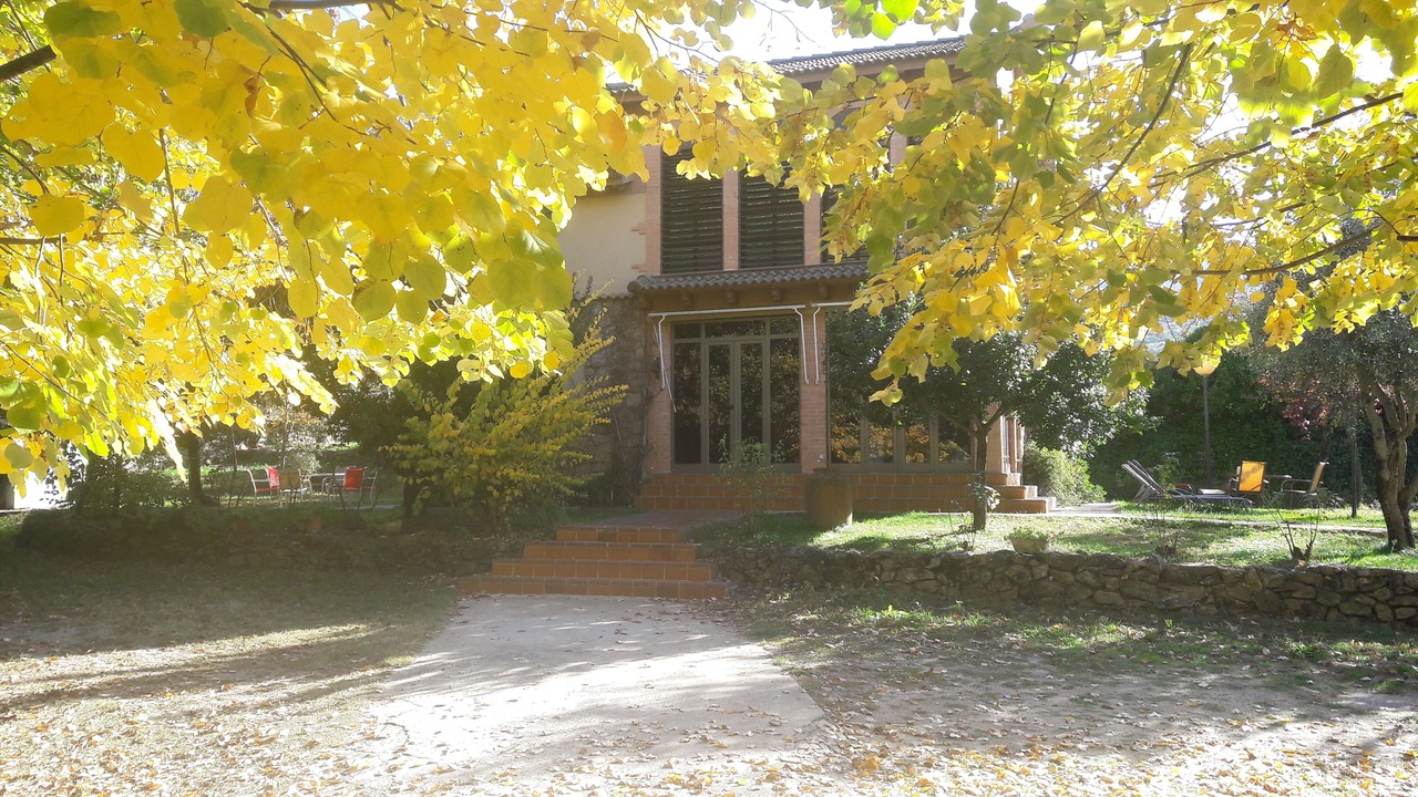 Photo of Outdoor in Rebollar