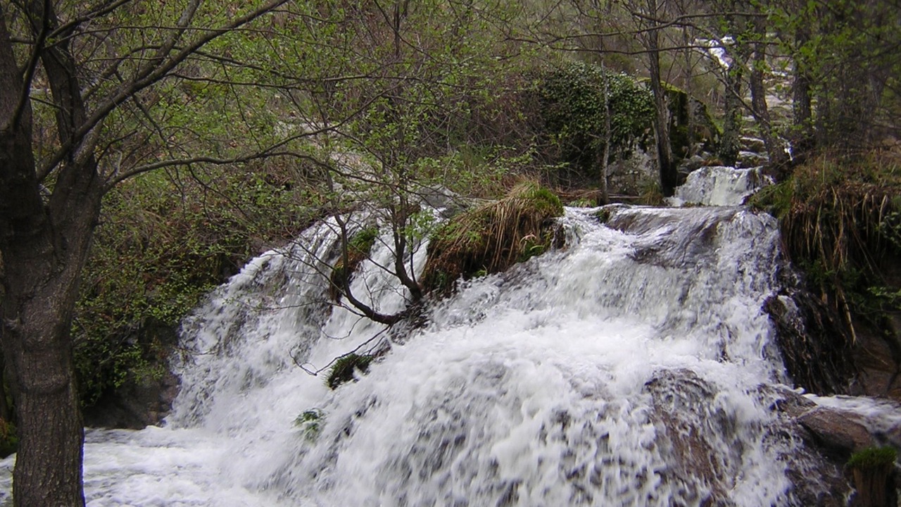 Photo of Outdoor in Rebollar