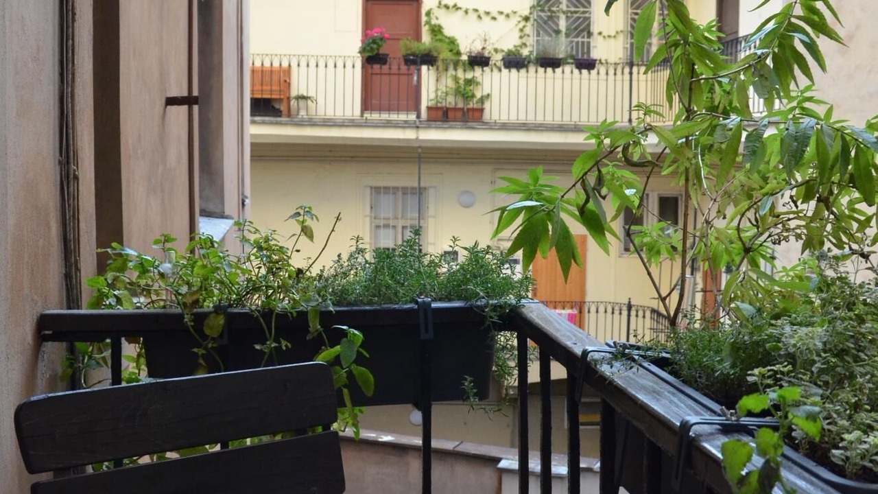 Photo of Patio Balcony in Prague 1