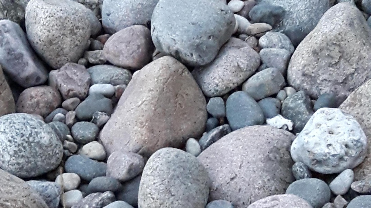 Photo of Others in Lancken-Granitz