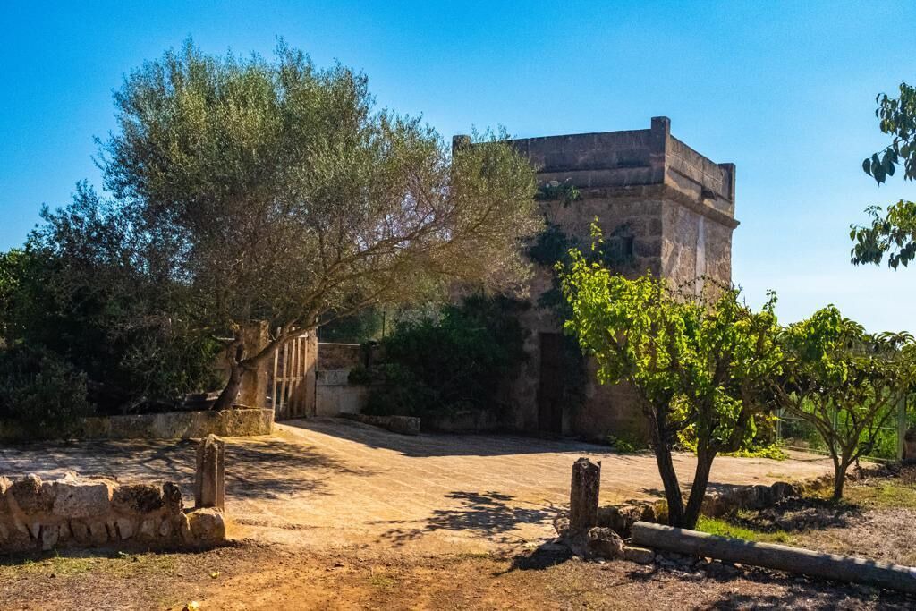 Photo of Outdoor in El Pilari