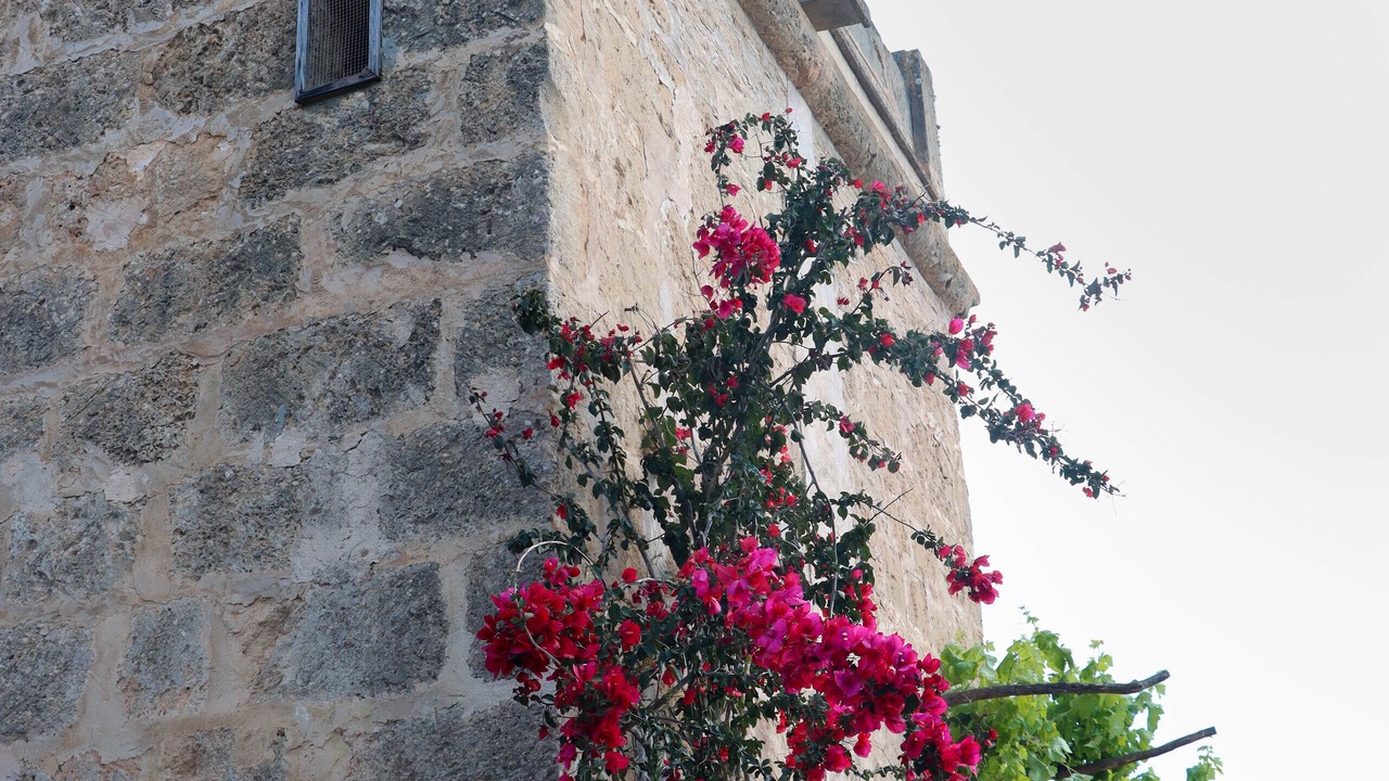 Photo of Outdoor in El Pilari