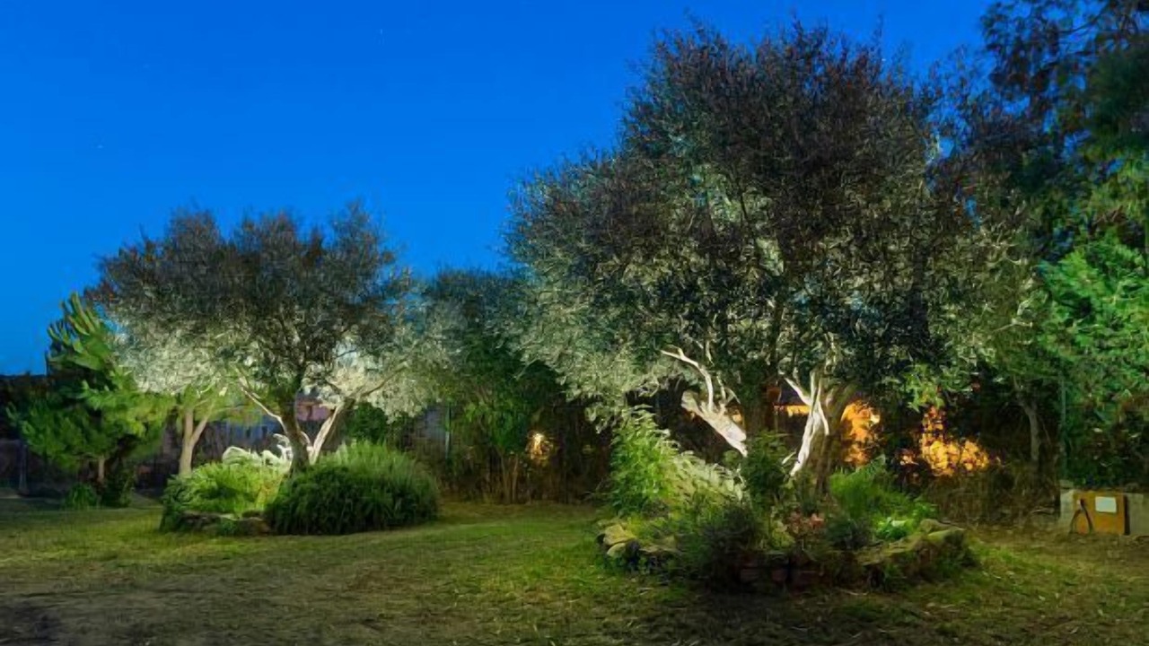 Photo of Outdoor in Fonteta