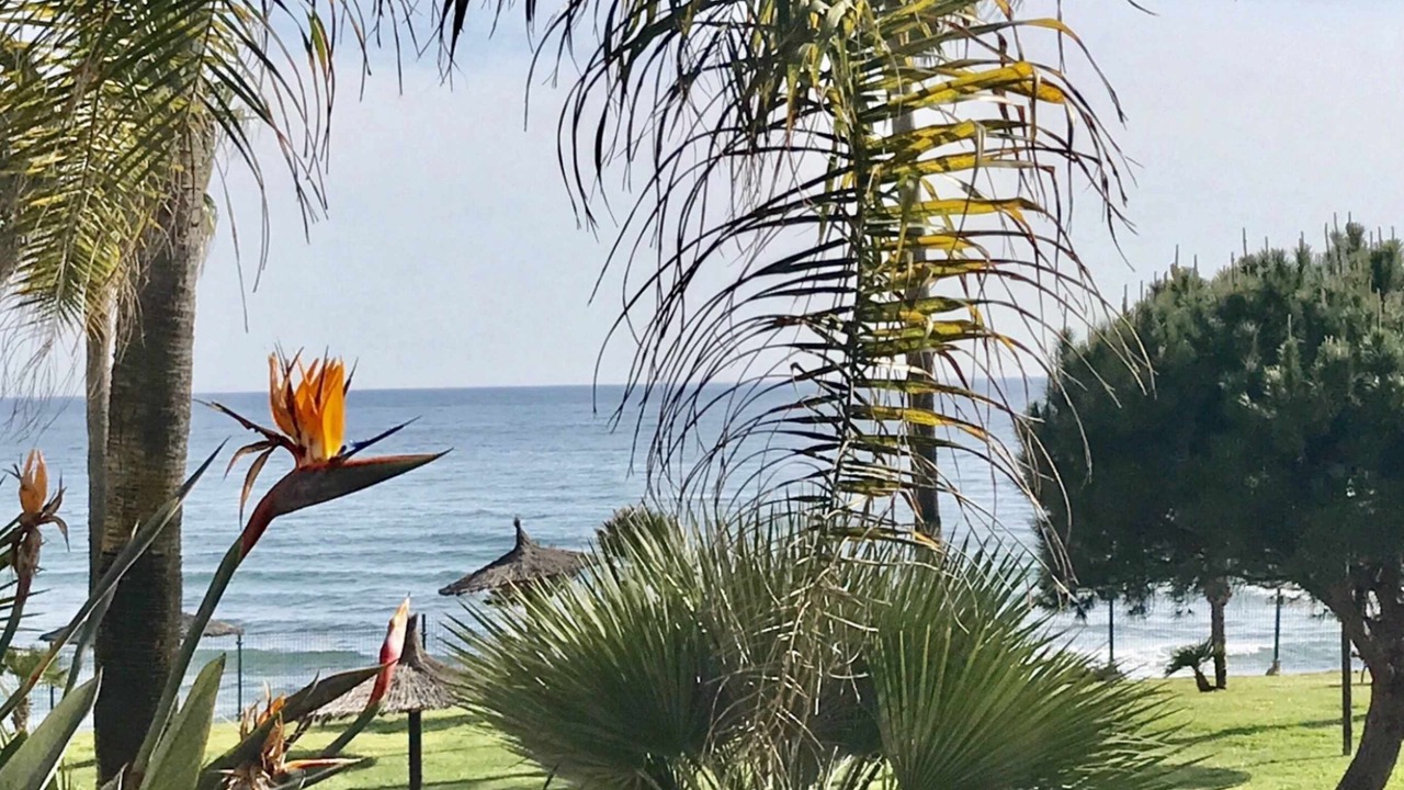Photo of Outdoor in Sitio de Calahonda