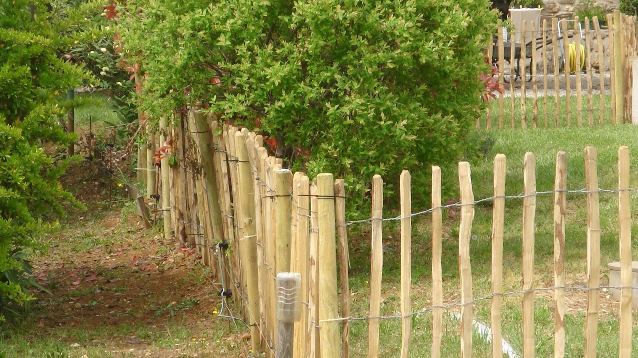 Photo of Outdoor in Lagorce