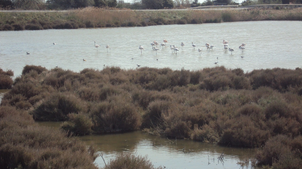 Photo of Others in Vic-la-Gardiole