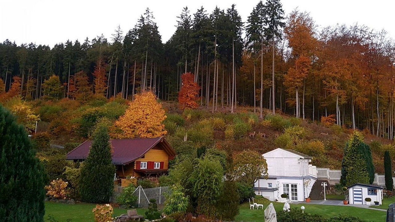 Photo of Outdoor in Hegewiese