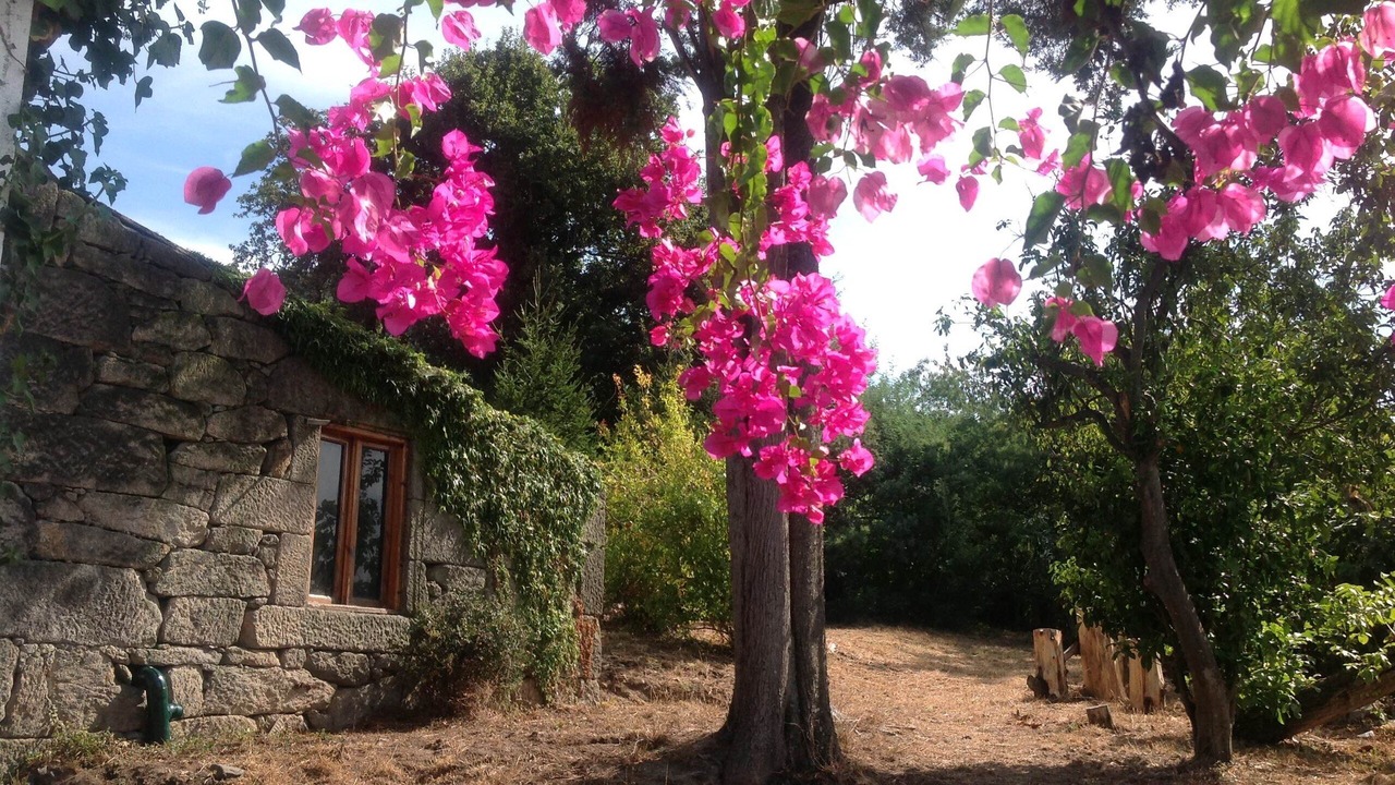 Photo of Outdoor in Teis