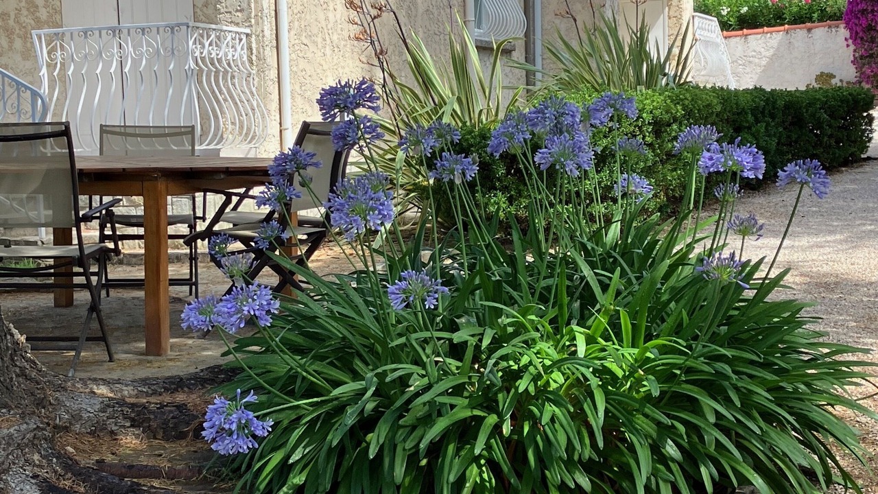 Photo of Outdoor in La Ciotat