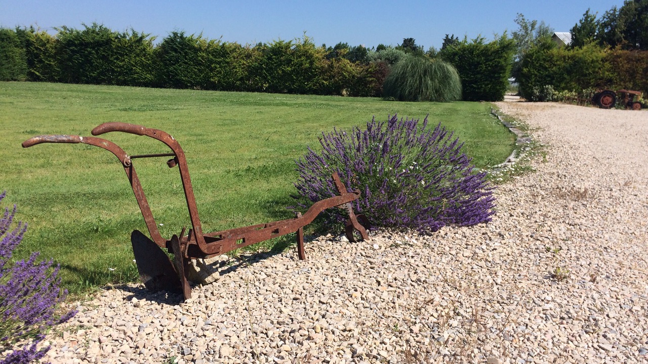 Photo of Outdoor in Cavaillon