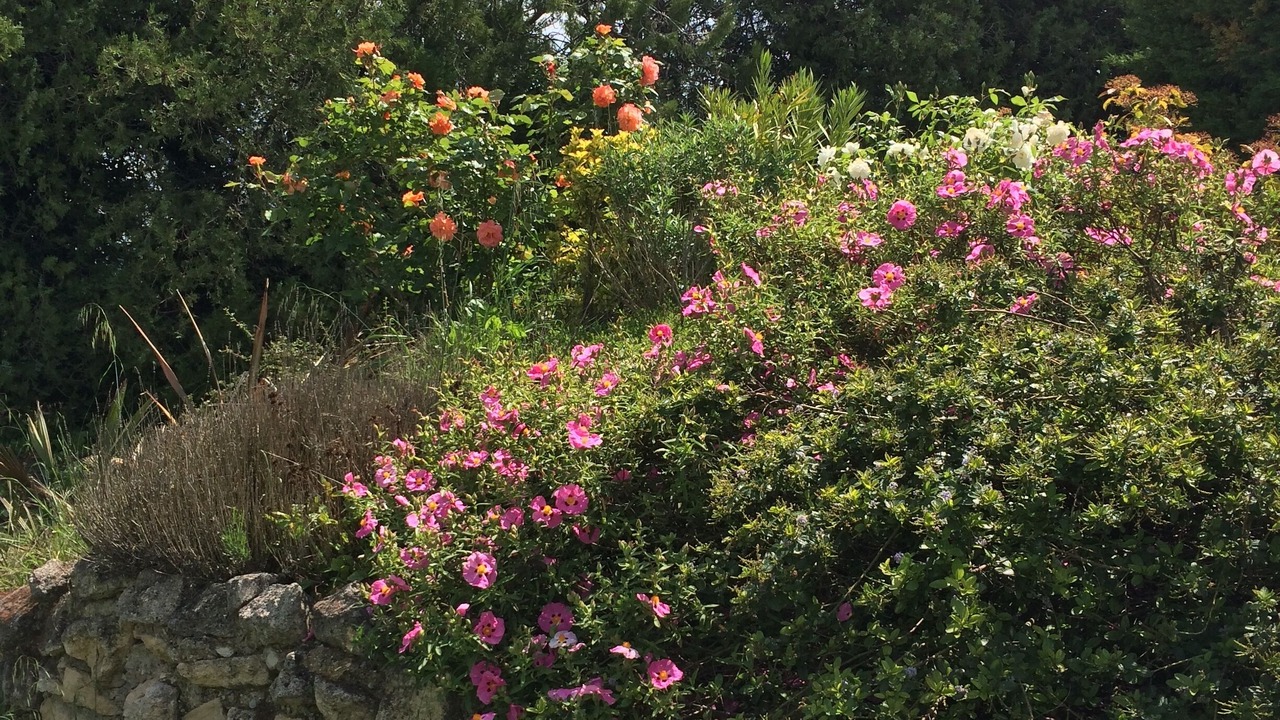 Photo of Outdoor in Cavaillon