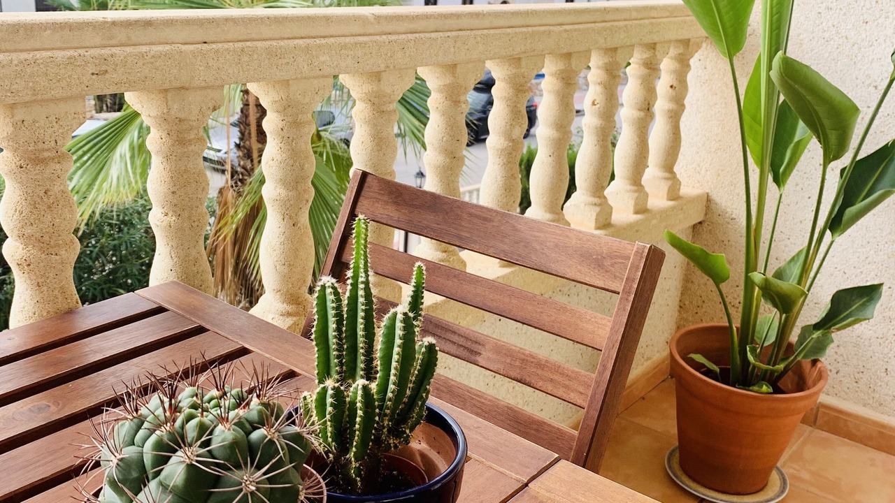Photo of Outdoor in Orihuela Costa