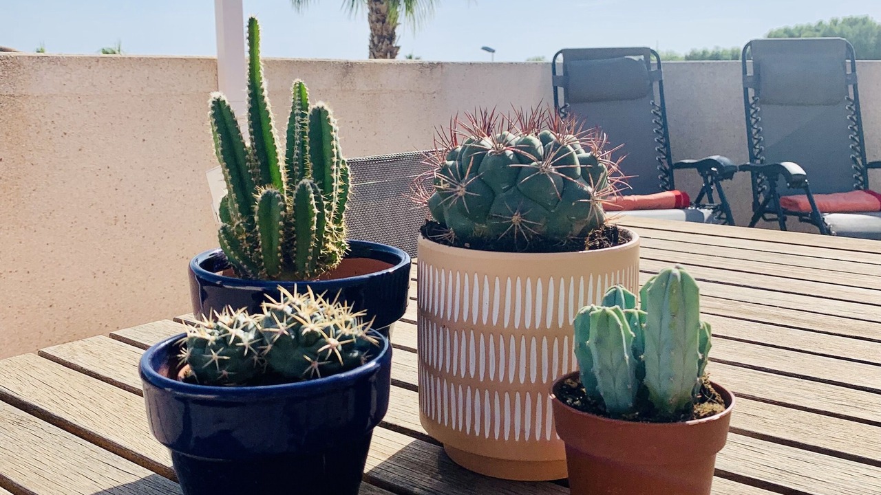 Photo of Patio Balcony in Orihuela Costa