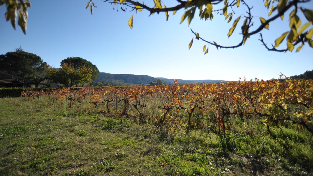 Photo of Outdoor in Lagorce