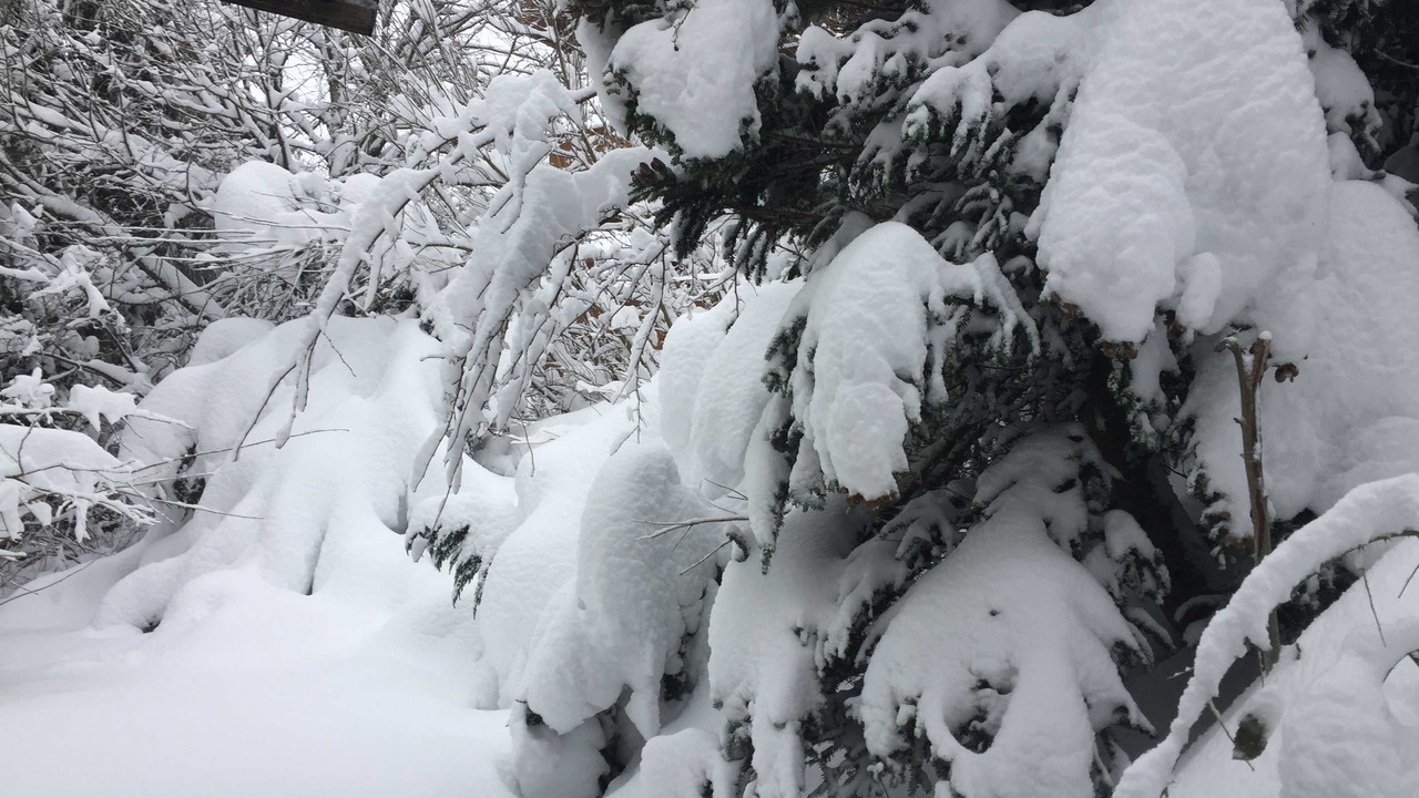 Photo of Outdoor in Hahnenklee