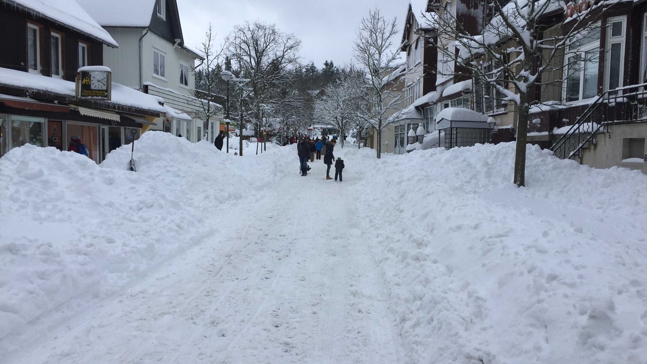 Photo of Others in Hahnenklee