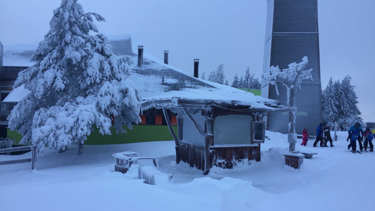 Photo of Others in Hahnenklee