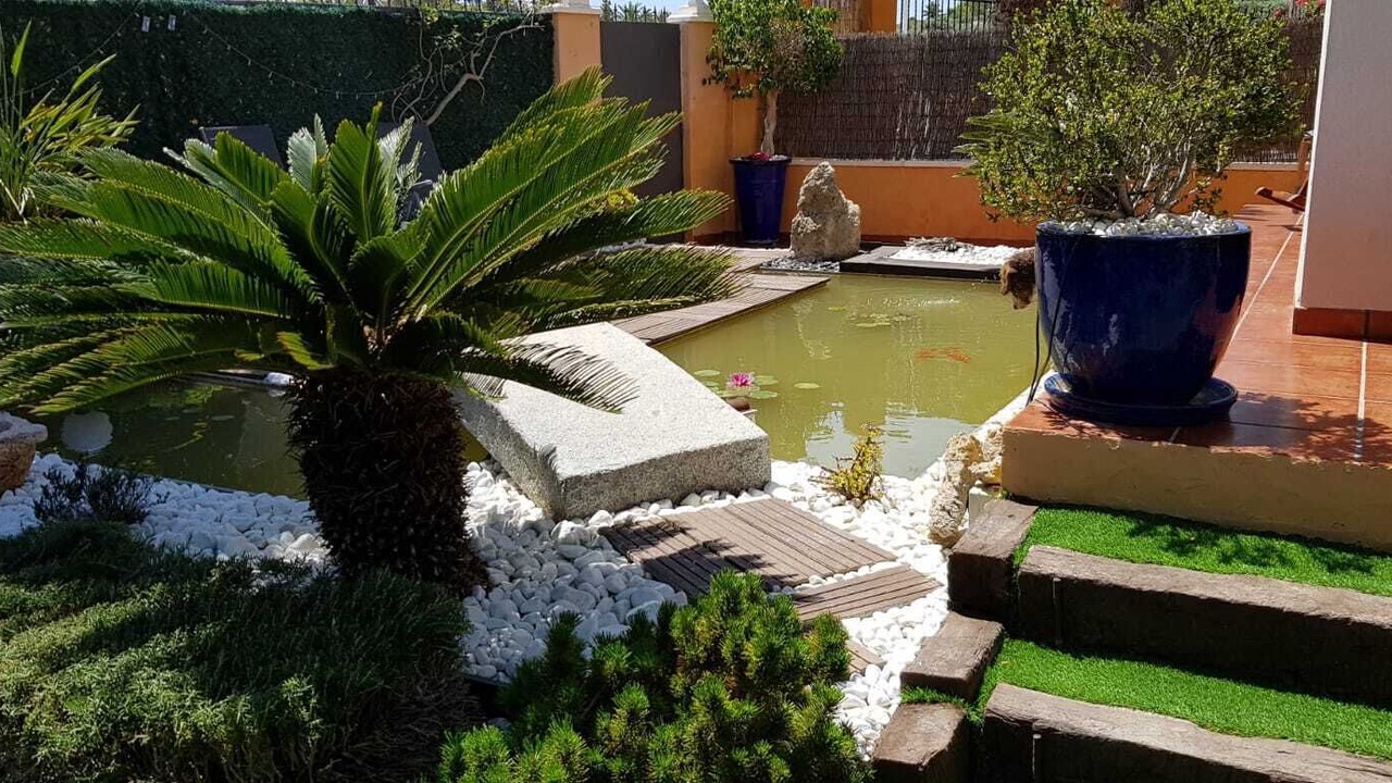 Photo of Outdoor in La Marina