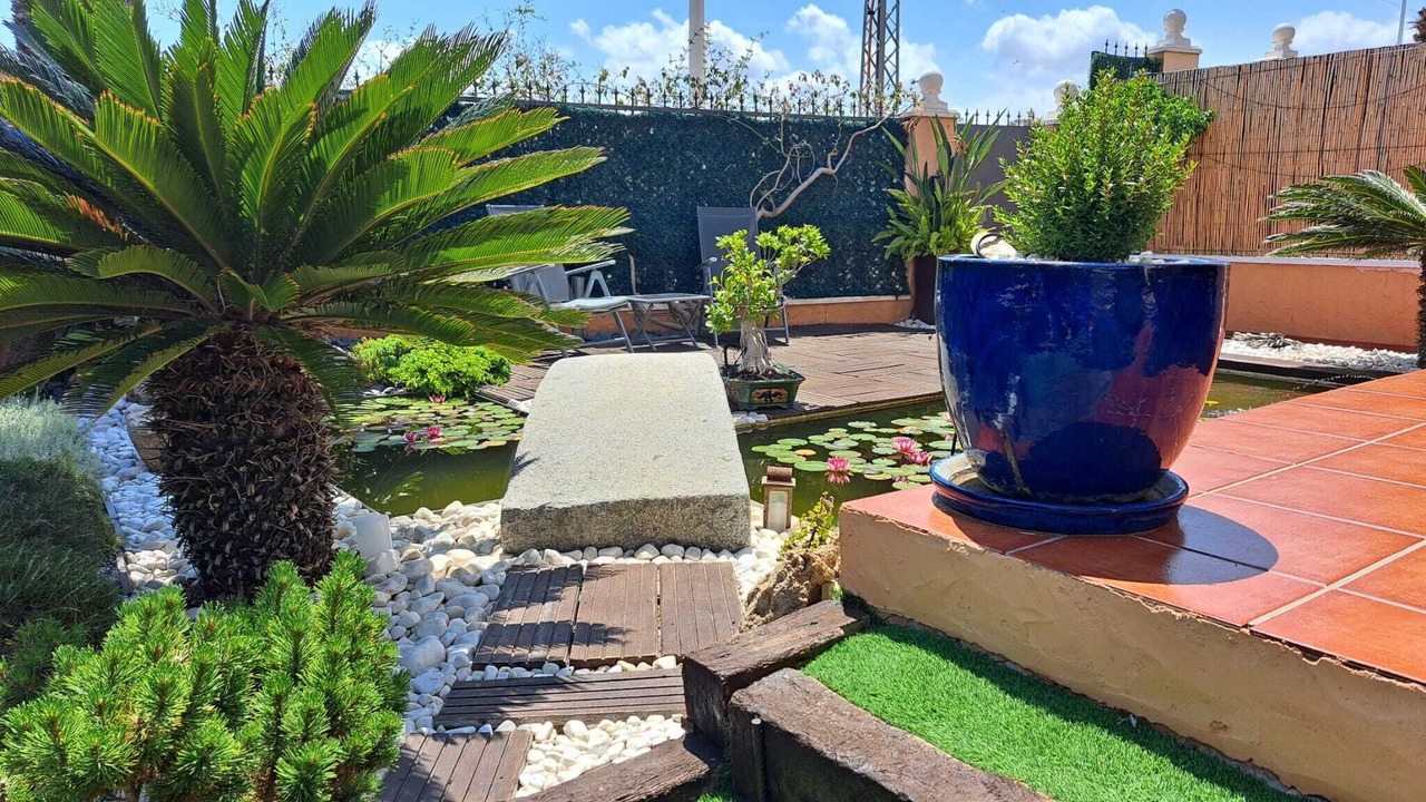 Photo of Outdoor in La Marina