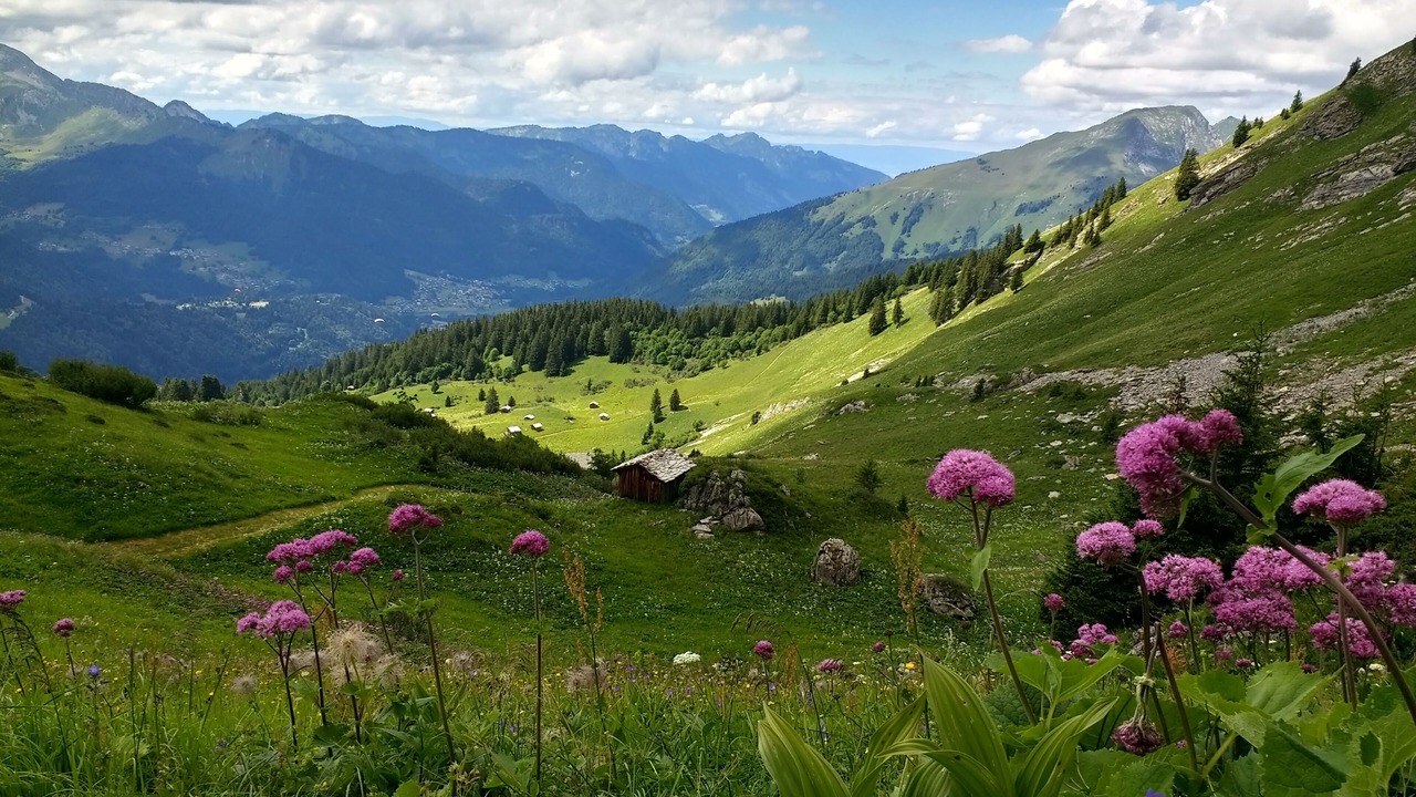 Photo of Outdoor in Montriond