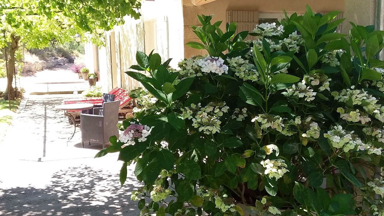 Photo of Outdoor in Rognes