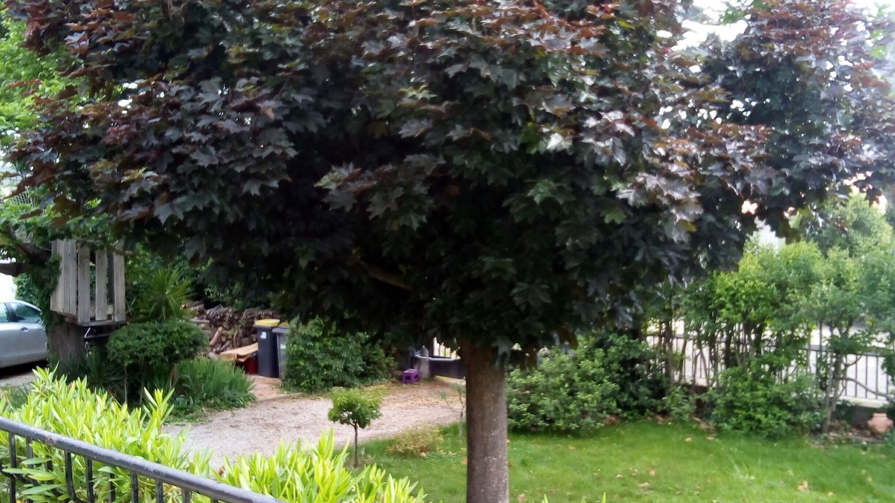 Photo of Outdoor in Caveirac