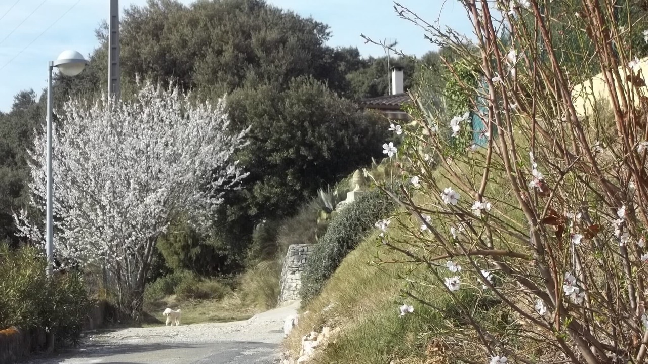Photo of Outdoor in Cabrieres