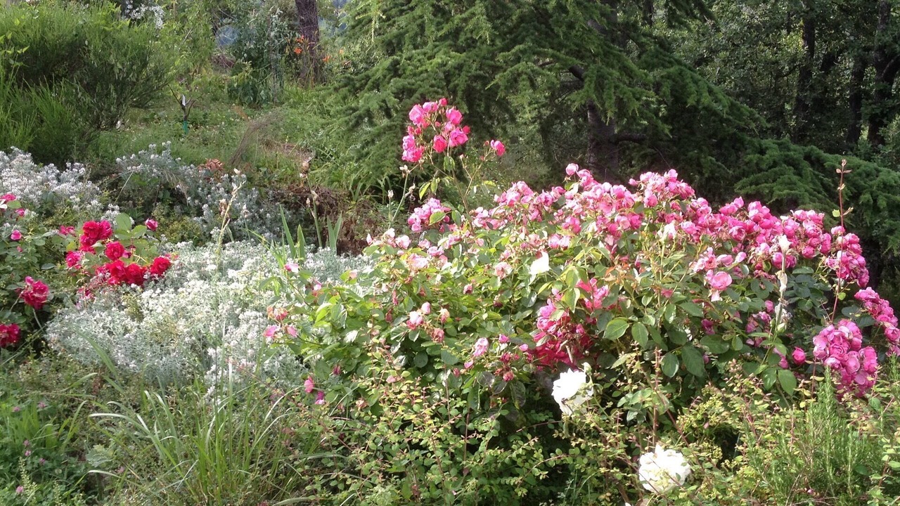 Photo of Outdoor in Sainte-Croix-de-Caderle
