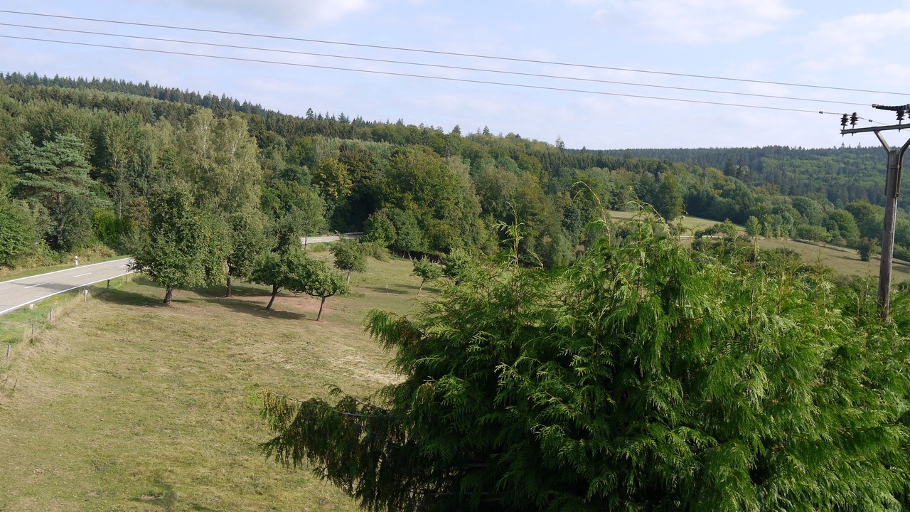 Photo of Outdoor in Losheim am See
