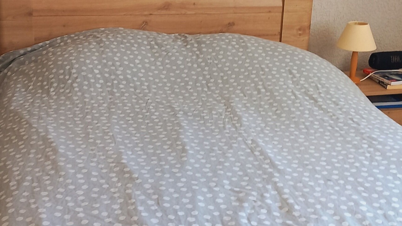Photo of Bedroom in Pujaut