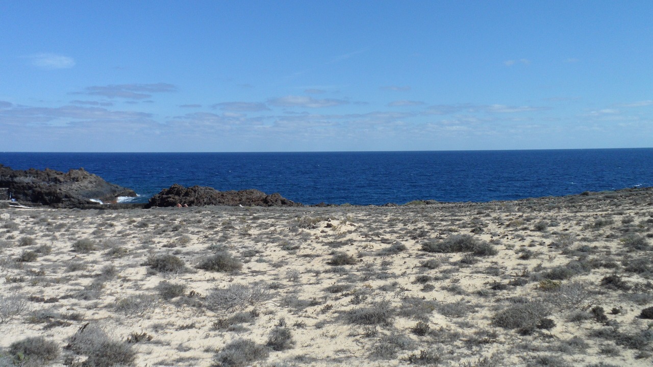 Photo of Others in Charco del Palo