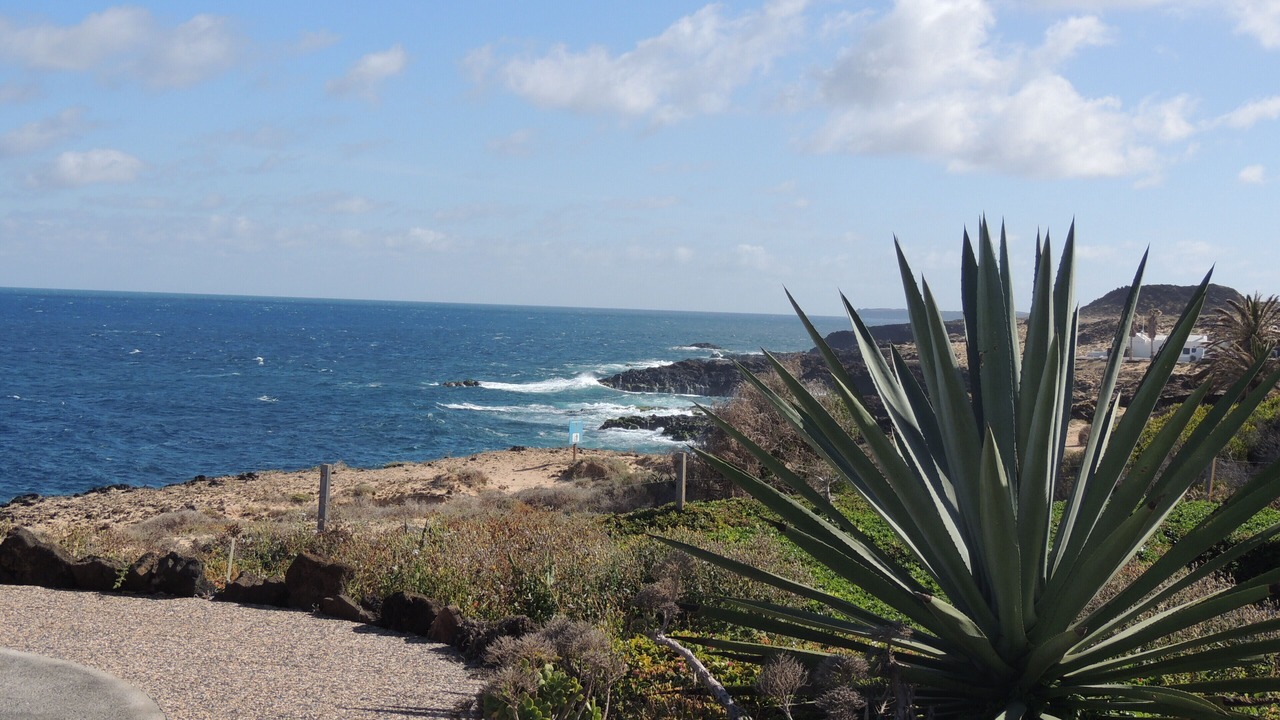 Photo of Others in Charco del Palo