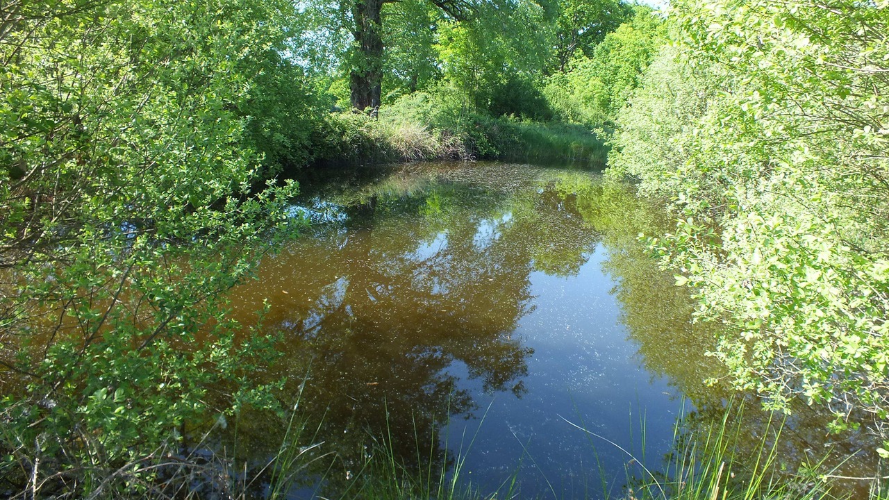 Photo of Outdoor in Montverdun