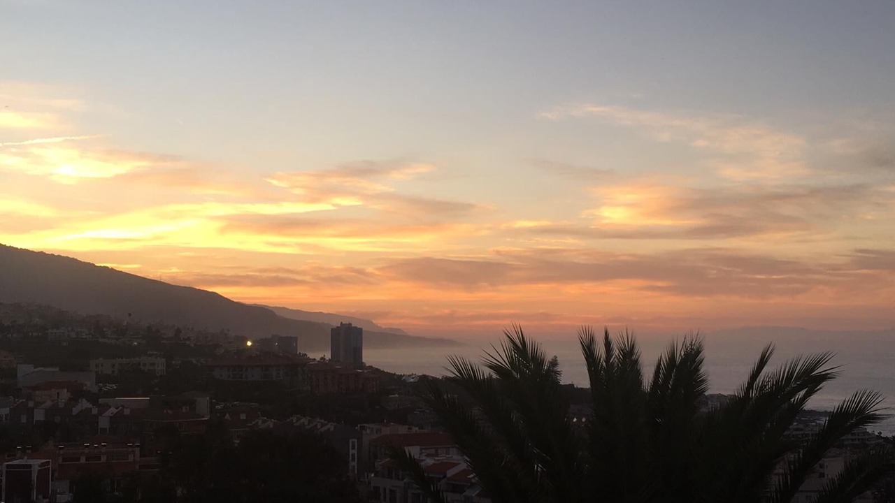 Photo of Others in Puerto de la Cruz
