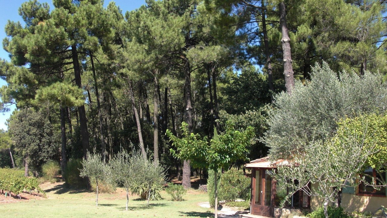 Photo of Outdoor in Bollene