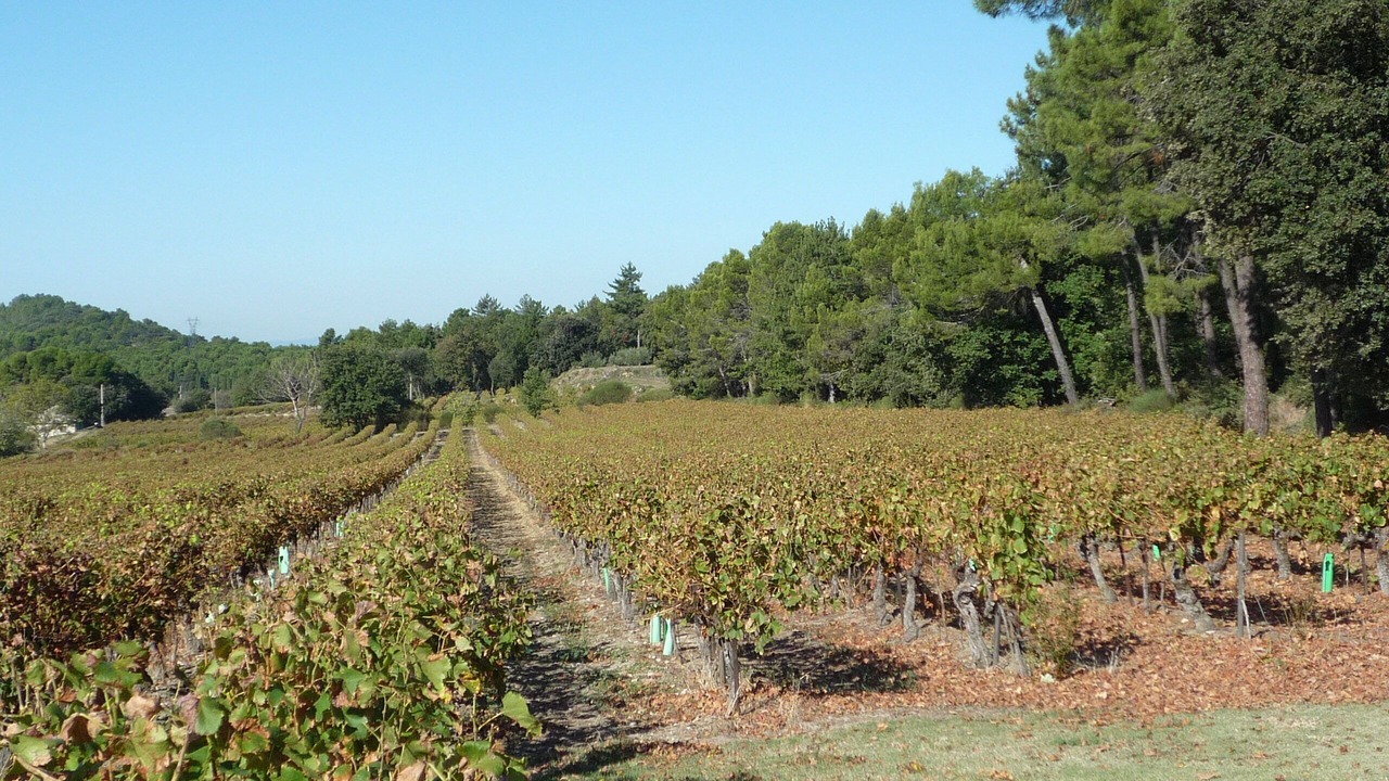 Photo of Outdoor in Bollene